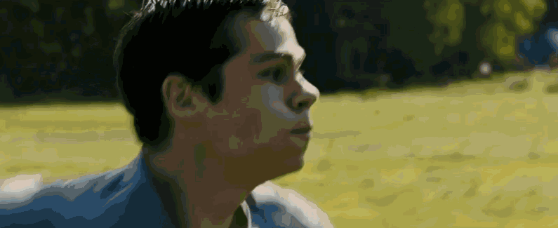 16.gif