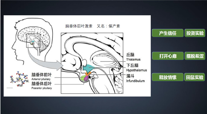 3G4[~O%}37E(`48F3GL2)BK.jpg