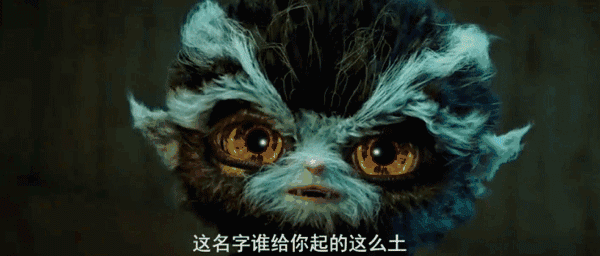 14.gif