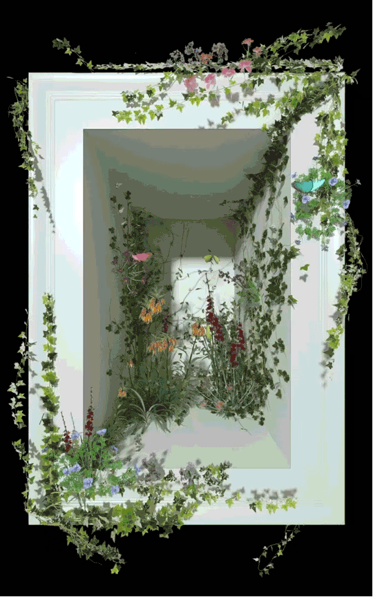 5.gif