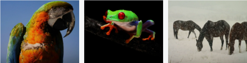 25.png