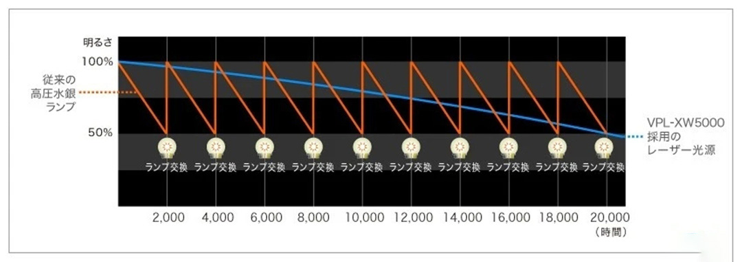 6.webp.jpg