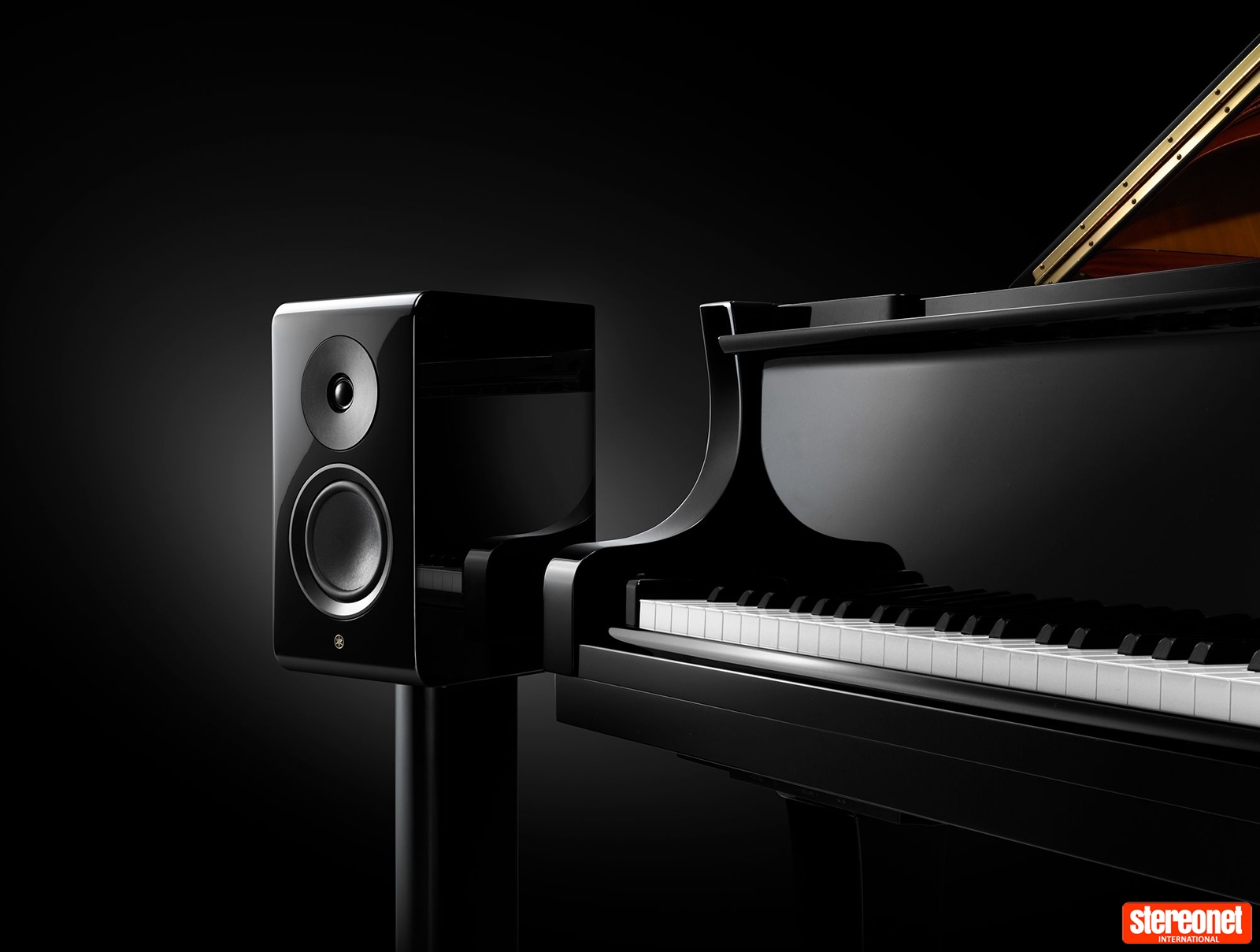 ns600a_piano_3763c97fea2ee970e1e42f570901c67b__large_full.jpg