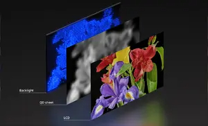 So sind Sonys 2025 Premium-Fernseher mit Mini-LED-Backlight und QD-Farbfilter aufgebaut.jpg